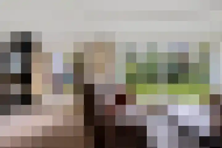 Lageweg 20 Sellingen thumbnail 30