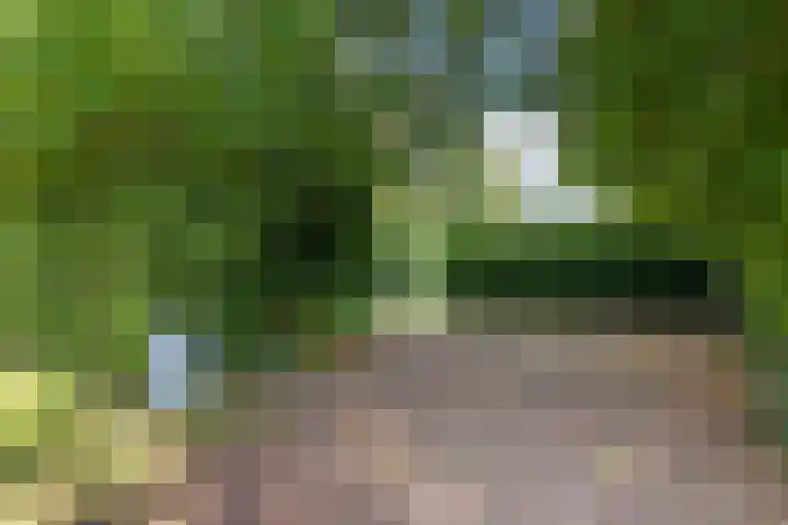 Lageweg 20 Sellingen thumbnail 4