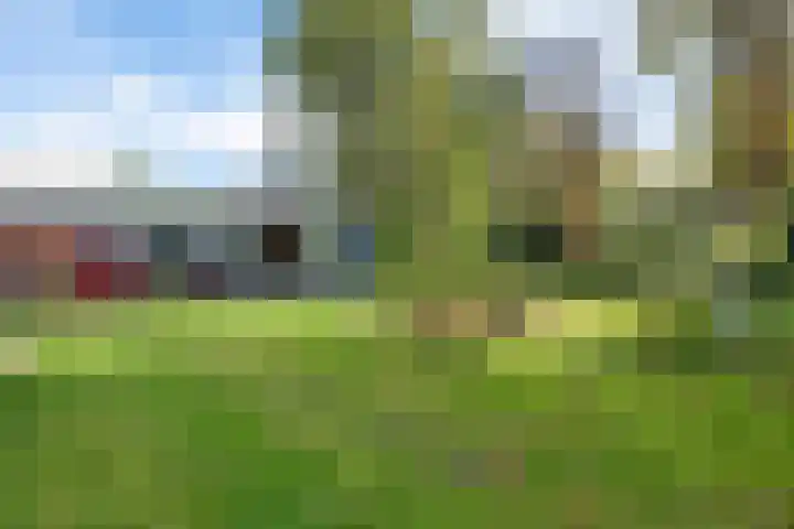 Lageweg 20 Sellingen thumbnail 6