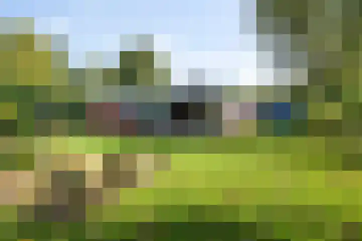 Lageweg 20 Sellingen thumbnail 7