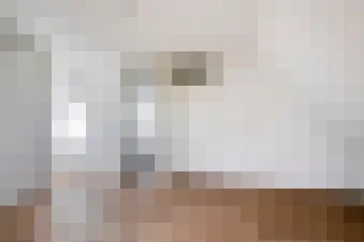 Lageweg 3 Eenrum thumbnail 23