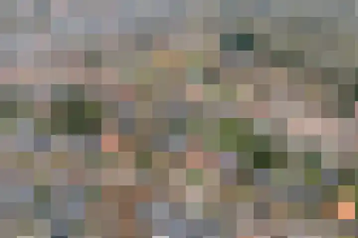 Lageweg 3 Eenrum thumbnail 28