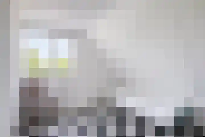 Lageweg 3 Eenrum thumbnail 29