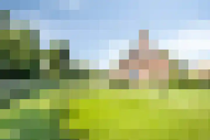 Lageweg 3 Eenrum thumbnail 32