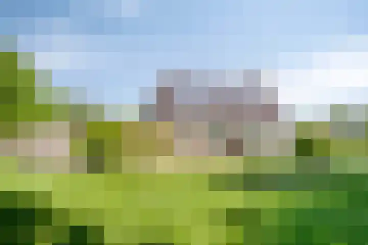 Lageweg 3 Eenrum thumbnail 5