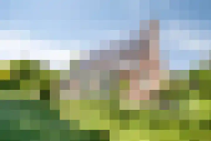 Lageweg 3 Eenrum thumbnail 6