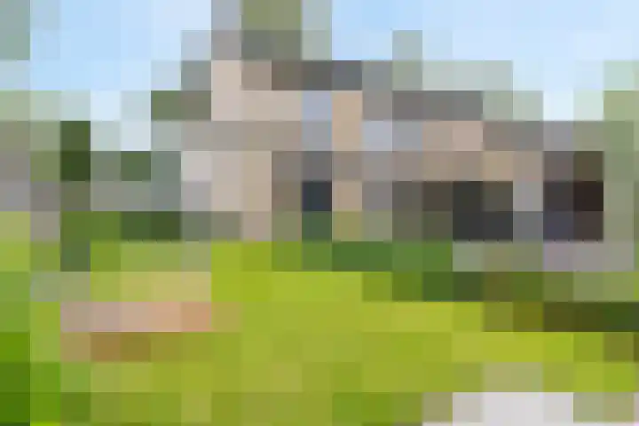 Lageweg 3 Eenrum thumbnail 8