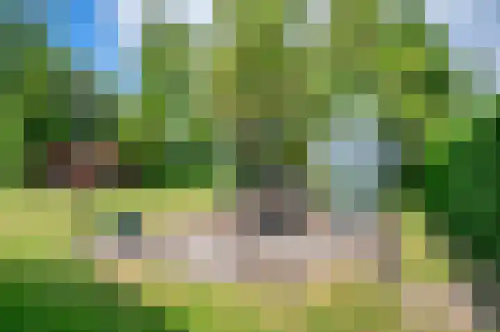 Lageweg 42 Wedde thumbnail 42