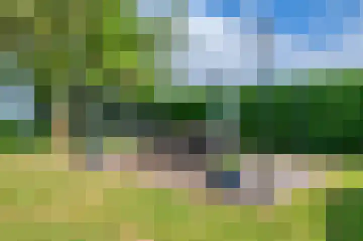 Lageweg 42 Wedde thumbnail 43