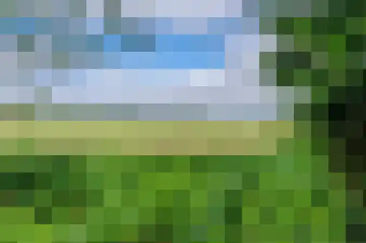 Lageweg 42 Wedde thumbnail 50