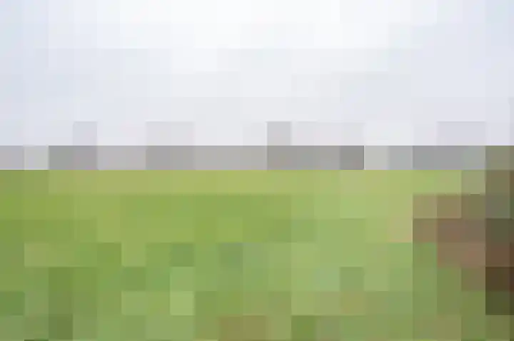 Lageweg 5 Zelhem thumbnail 8