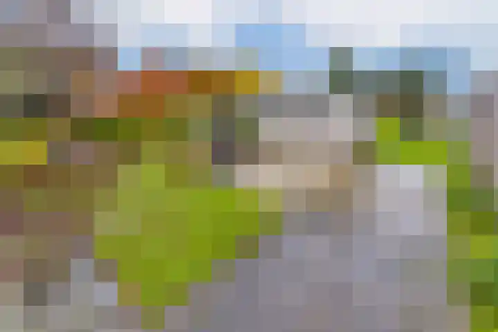 Lageweg 66 Wedde thumbnail 36