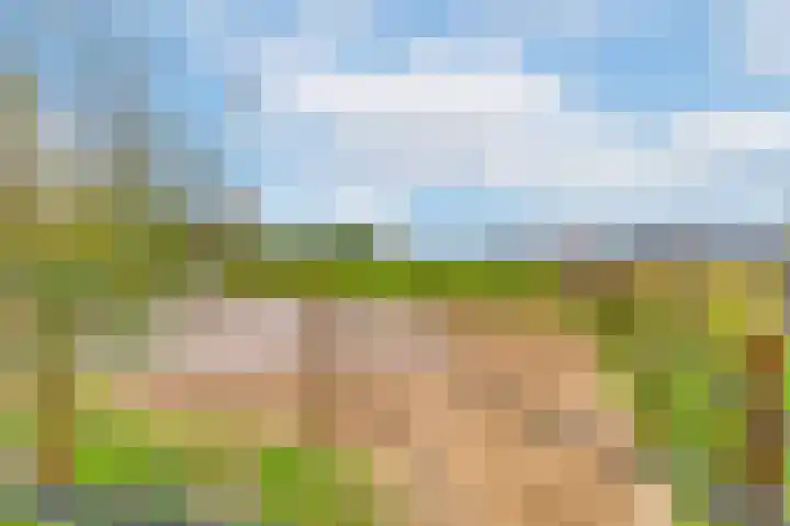 Lageweg 66 Wedde thumbnail 39
