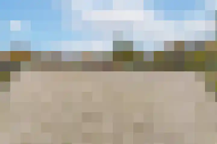 Lageweg 66 Wedde thumbnail 40