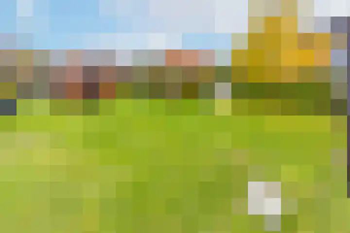 Lageweg 66 Wedde thumbnail 41