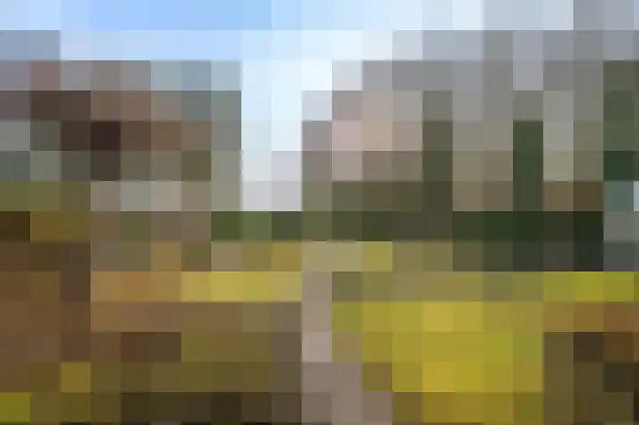 Lageweg 93 Wedde thumbnail 9