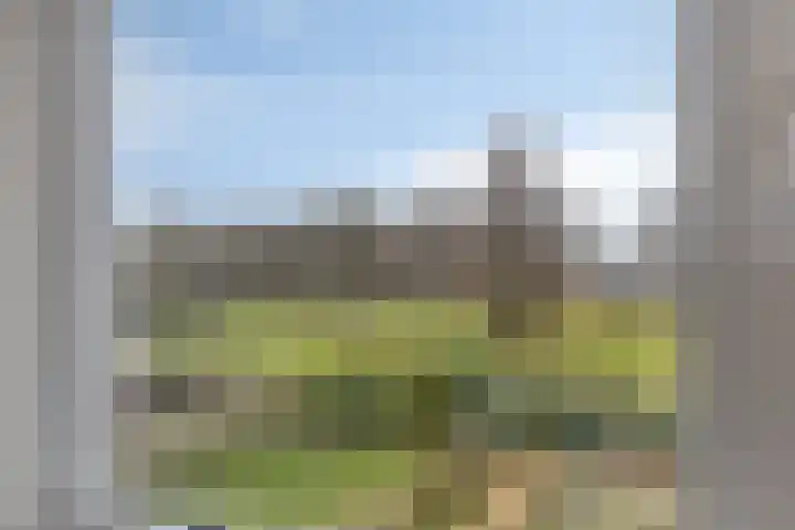 Lagune 7 Lelystad thumbnail 23