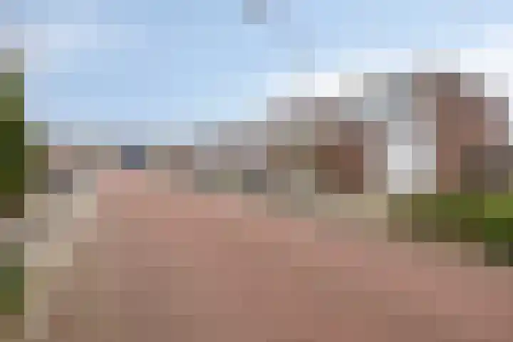 Lagune 7 Lelystad thumbnail 30