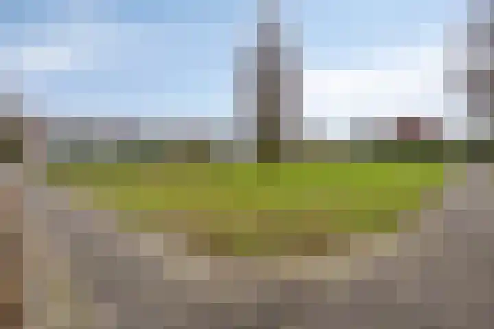 Lagune 7 Lelystad thumbnail 32