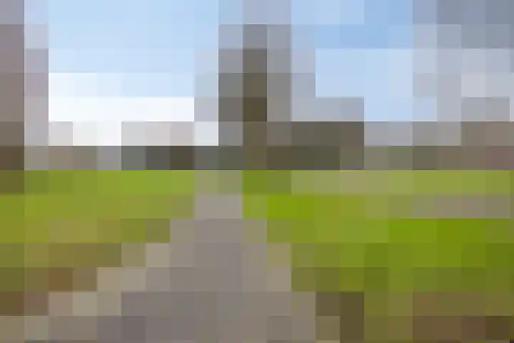 Lagune 7 Lelystad thumbnail 33