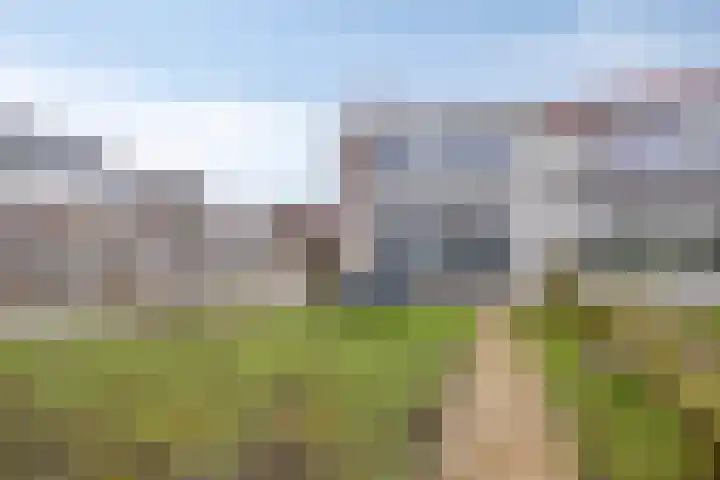 Lagune 7 Lelystad thumbnail 4