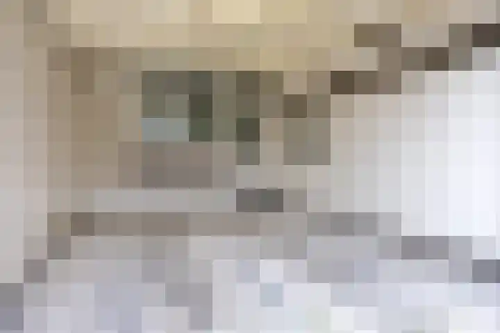 Lagune 7 Lelystad thumbnail 6