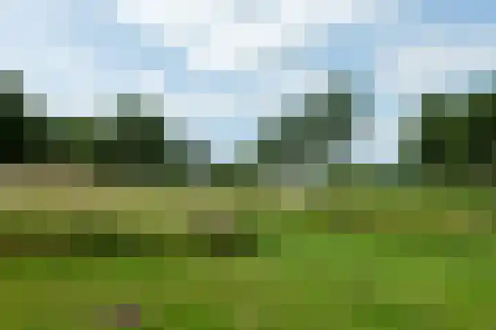 Lakenkopersweg 92 Weesp thumbnail 35