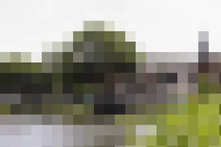 Lakenkopersweg 92 Weesp thumbnail 37