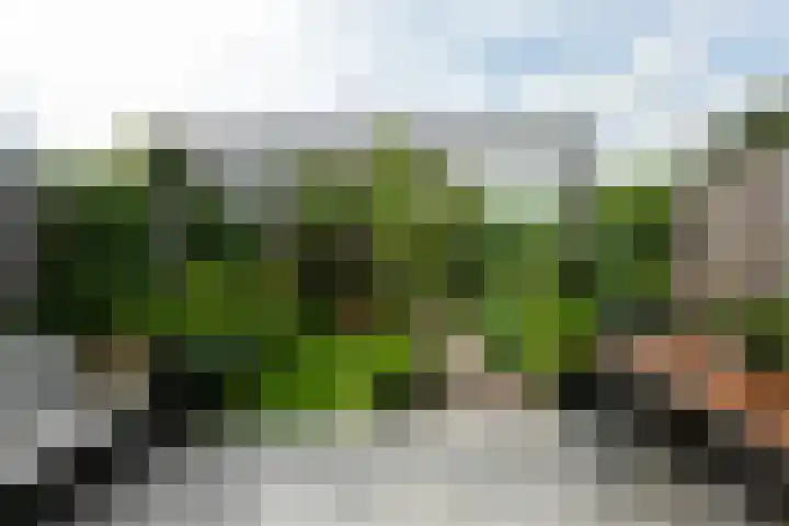 Lakenkopersweg 92 Weesp thumbnail 9