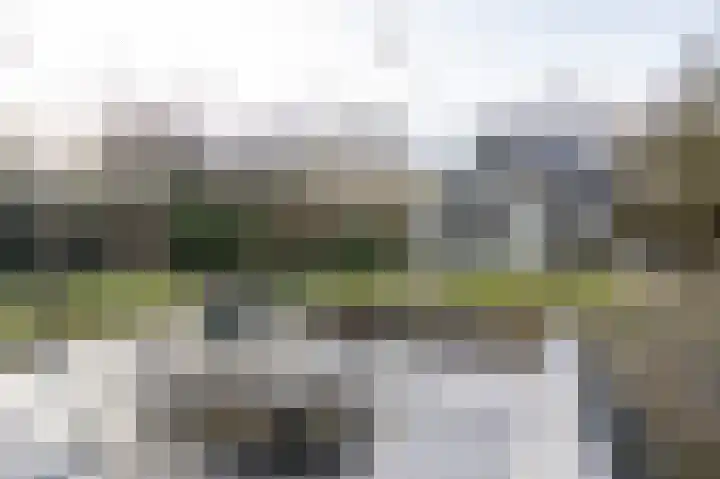 Lakerveld 140 Lexmond thumbnail 37
