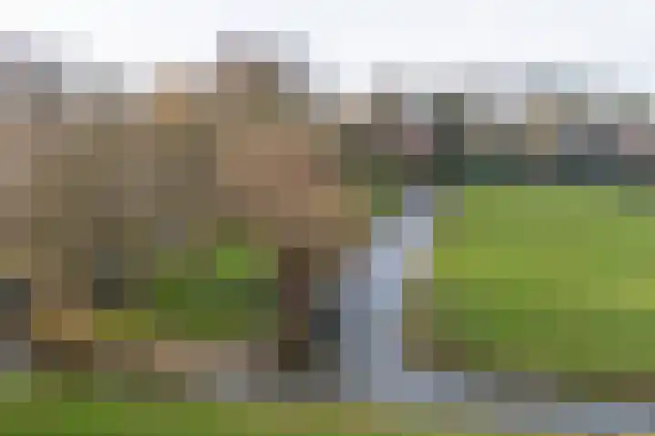Lakerveld 140 Lexmond thumbnail 58