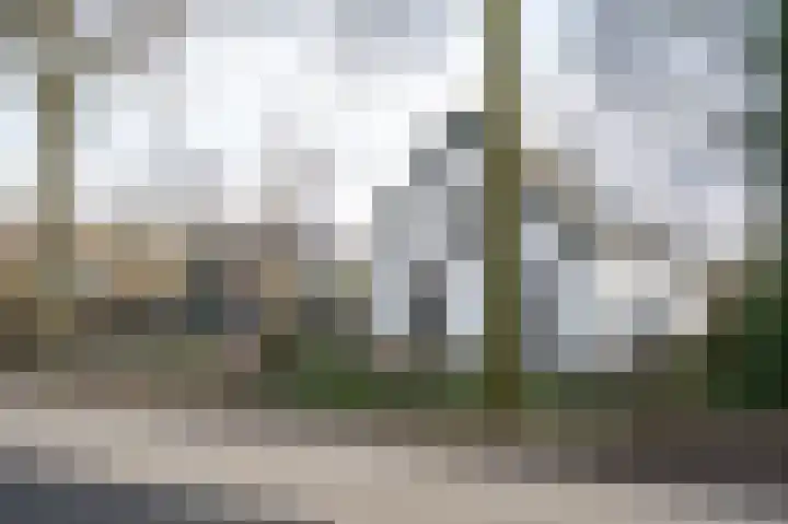 Lakerveld 140 Lexmond thumbnail 60