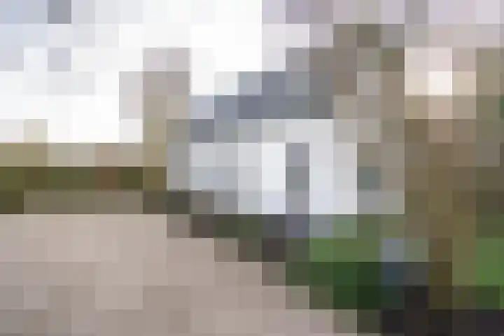 Lakerveld 140 Lexmond thumbnail 61