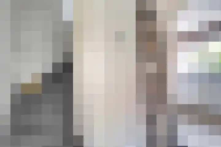 Lambertinck 19 Den Ham thumbnail 16