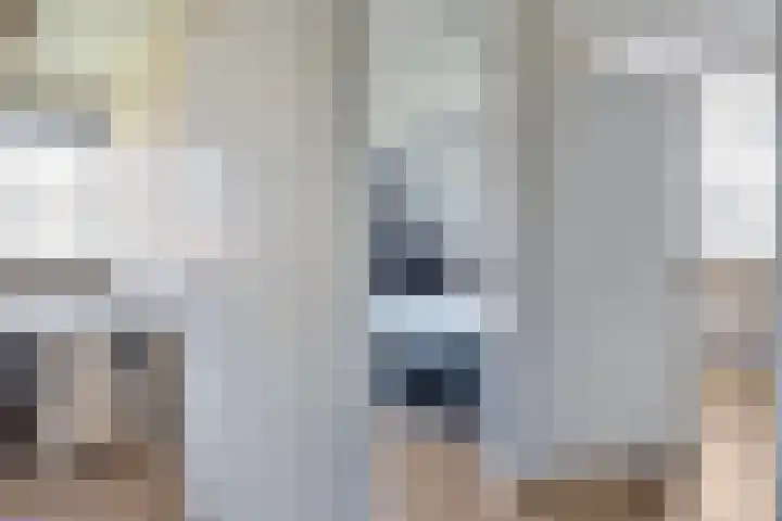 Lambertinck 19 Den Ham thumbnail 18