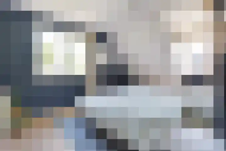 Lambertinck 19 Den Ham thumbnail 19