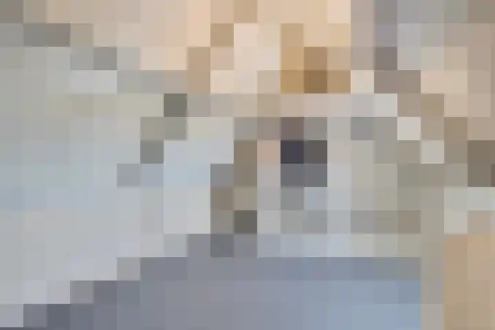 Lambertinck 19 Den Ham thumbnail 27