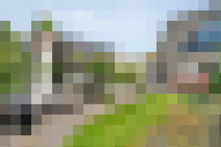 Lambertinck 19 Den Ham thumbnail 38