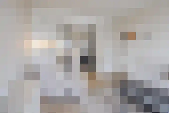 Lambertinck 19 Den Ham thumbnail 47