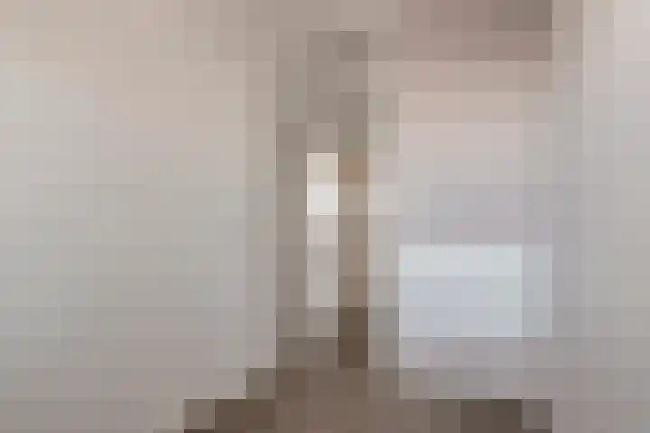 Lambertinck 19 Den Ham thumbnail 6