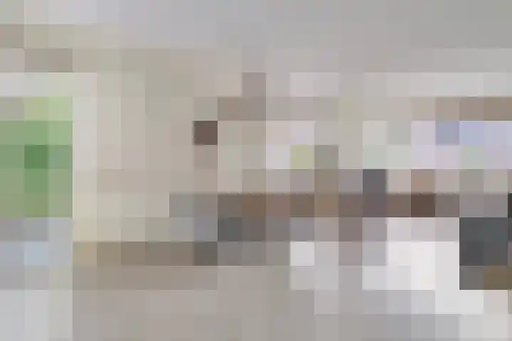Lambertinck 19 Den Ham thumbnail 8