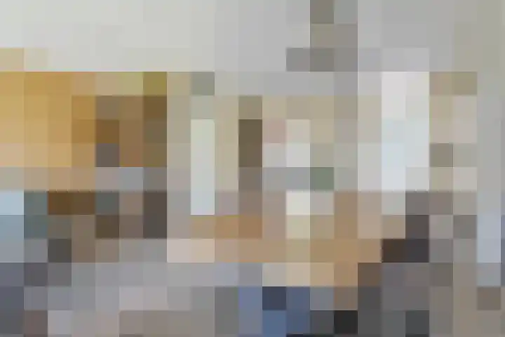 Lambertinck 19 Den Ham thumbnail 9