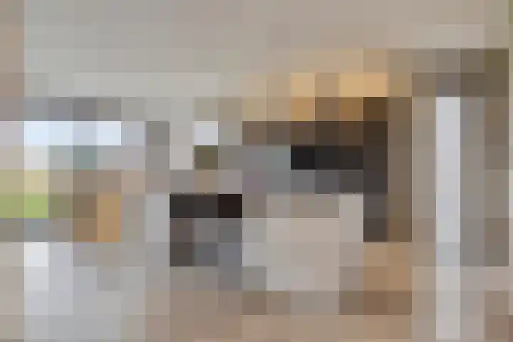 Lambertshoeve 9 Veghel thumbnail 12