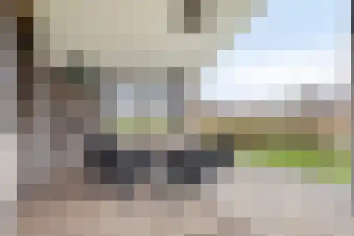 Lambertshoeve 9 Veghel thumbnail 46