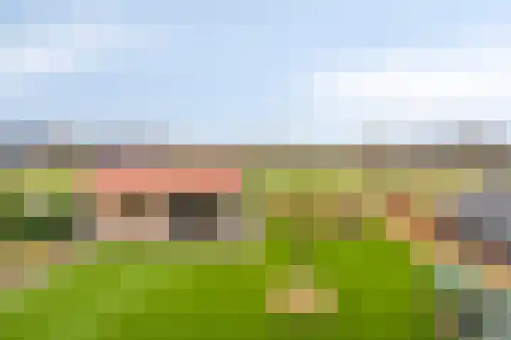 Lambertshoeve 9 Veghel thumbnail 48