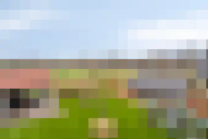 Lambertshoeve 9 Veghel thumbnail 49