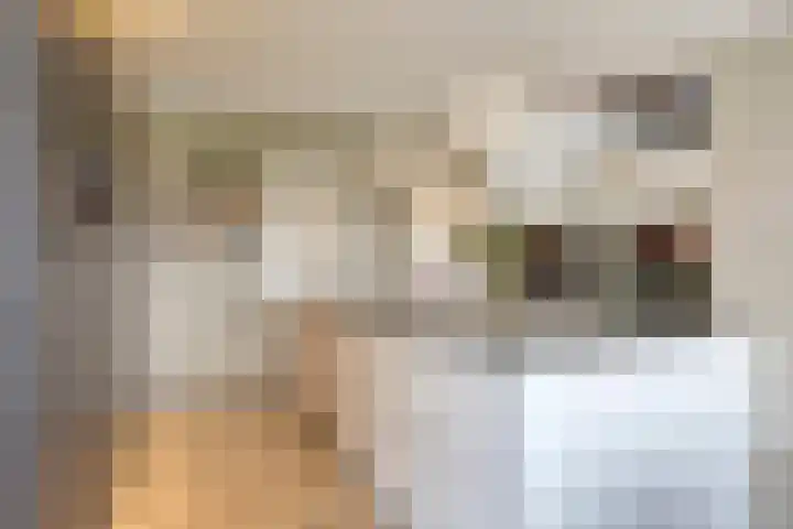 Lambertshoeve 9 Veghel thumbnail 9
