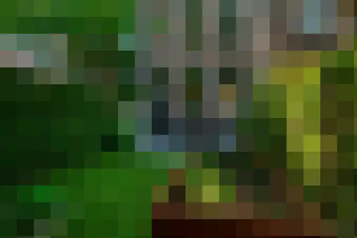 Lambertusstraat 182 Rotterdam thumbnail 42