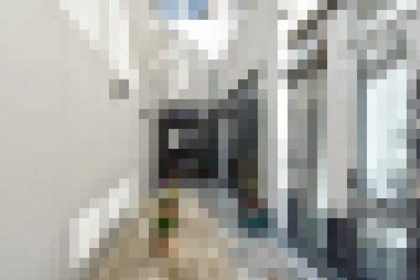 Lambertusstraat 182 Rotterdam thumbnail 6