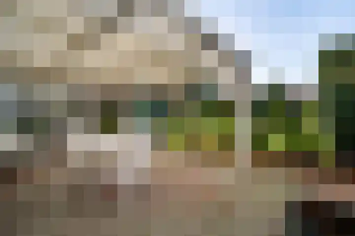 Lambertusstraat 3 Neeritter thumbnail 22
